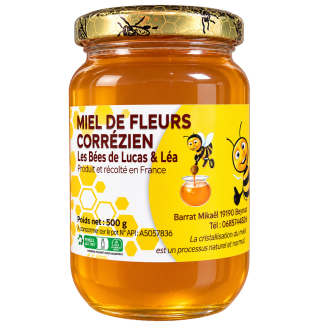Miel de fleurs corrézien